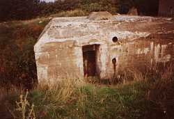 kraj12 4