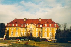 kochcice