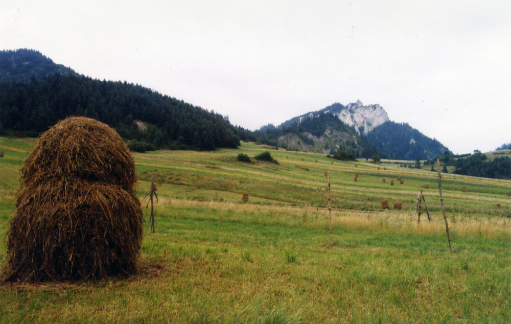 pieniny01