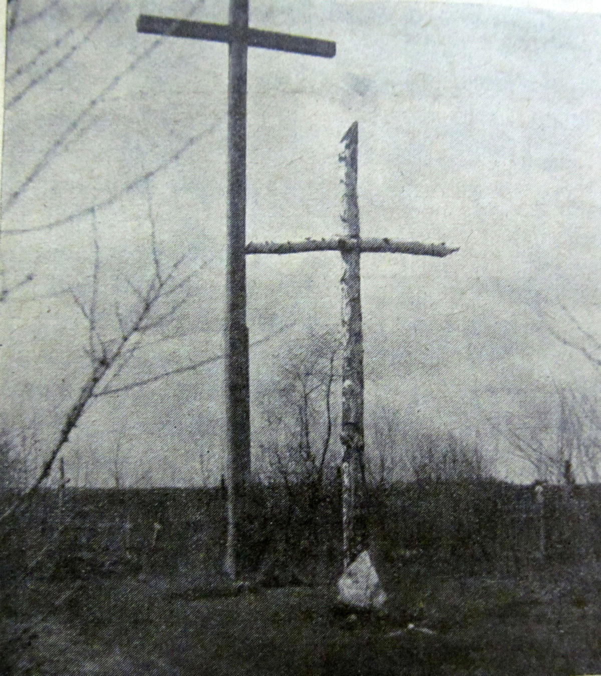 KRZYZE WASOSZ