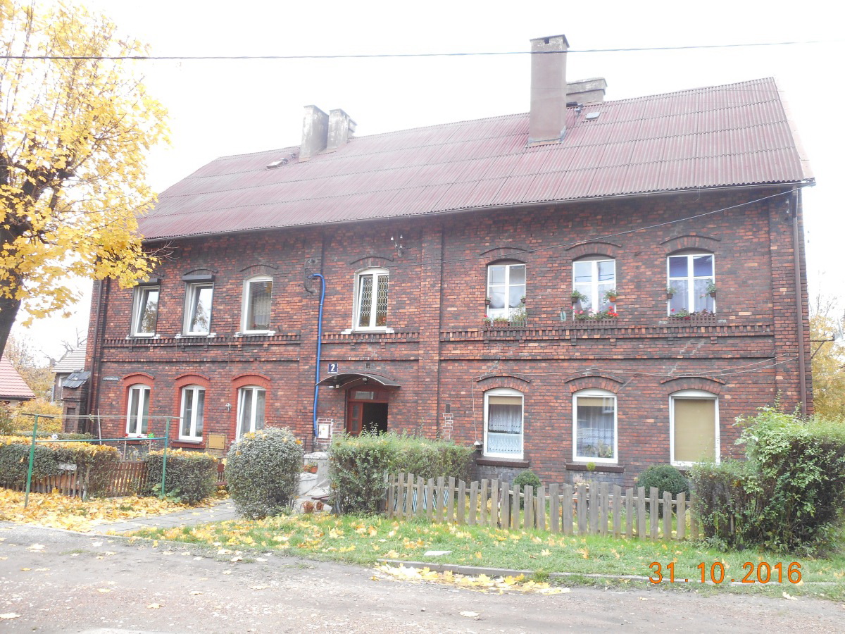 Przykład nowej koloni „ Emma”, foto Damian Grobelny image014