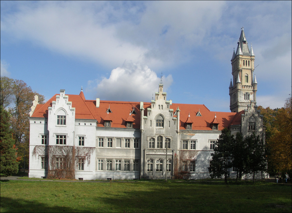 Pałac w Nakle Śląskim - foto Edward Wieczorek naklo
