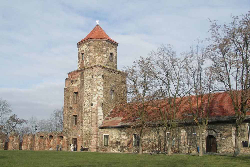 toszek